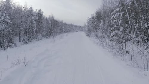 Snowmobile on Winter Forest Highway