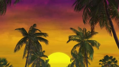 Sommerpalme Sonnenuntergang 02 Hd
