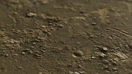 Closeup of Dirty Ground Road
