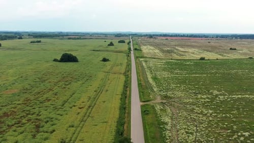 Asphalt Road Through Green Summer Field