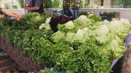 Fresh Green Salad Vegetables Standing in Sack at Market Place in Turkey