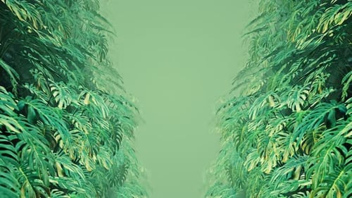 Flying On Swiss Cheese Plant 11 4K