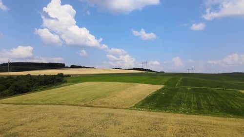 Aerial Landscape View of Green Cultivated Agricultural Fields with Growing Crops on Bright Summer