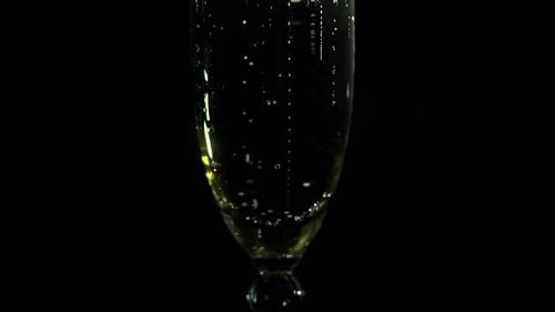 Champagne Pouring into Flute in Close Up