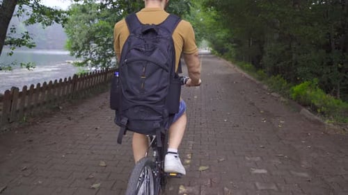 Cycling on the forest road.
