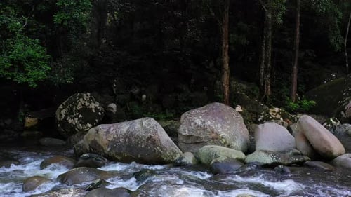 AH - Forest River 03