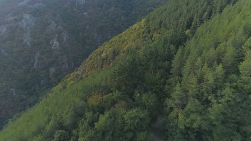 An Aerial View Of A Mountain Pass Asphalt Road with Beautiful Forest Landscape
