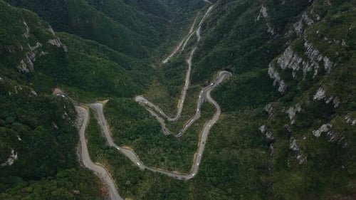 Winding Road in High Mountain Pass Through Dense Green Pine Woods
