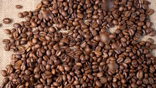 Geröstete Kaffeebohnen. Zeitlupe fallender Arabica-Kaffeesamen
.
