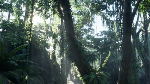 Lush Green Jungle Forest with Sun Rays and Vines