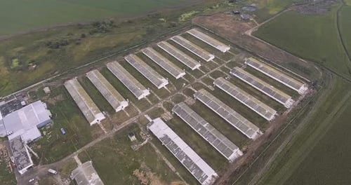 Vue aérienne d'une ferme avicole dans un champ