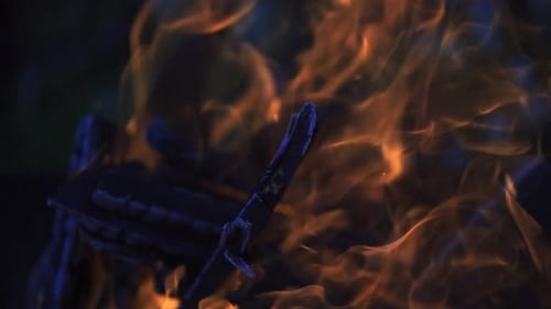 burning tree close up. fire concept. heat and light