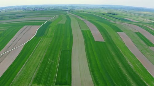 Hills With Farm Fields