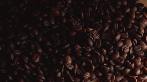 Close-Up View of Roasted Coffee Beans