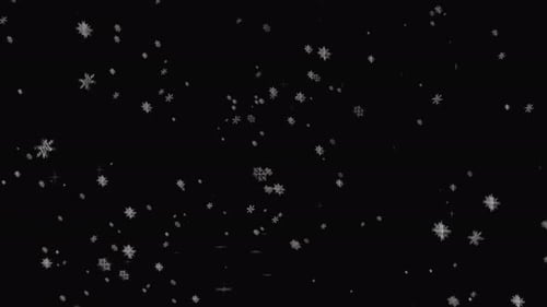 Falling Snow Crystals In Slow Speed In Front Of Black Background