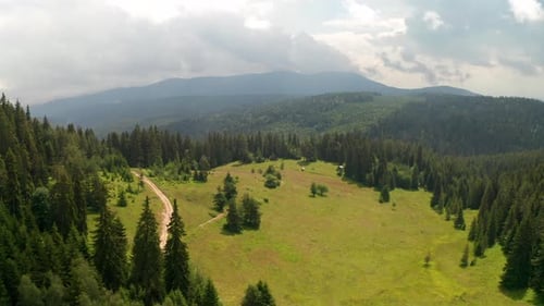 Drone flight over a picturesque summer meadow