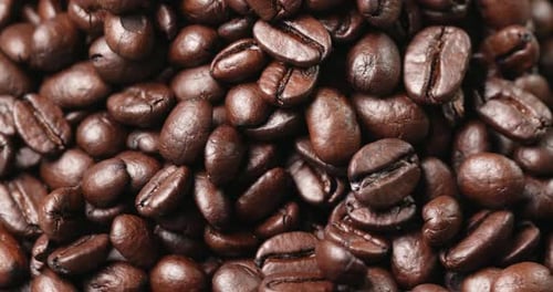 Geröstete Kaffeebo