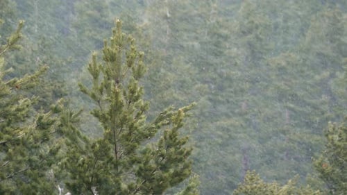 Premières chutes de neige en automne