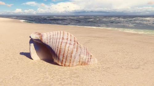 Seashell on Sunny Beach with Gentle Ocean Waves Loop
