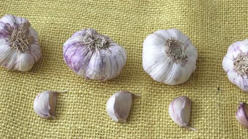 Garlic Bulbs and Cloves on Burlap