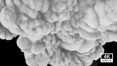Smoke Powder 4K