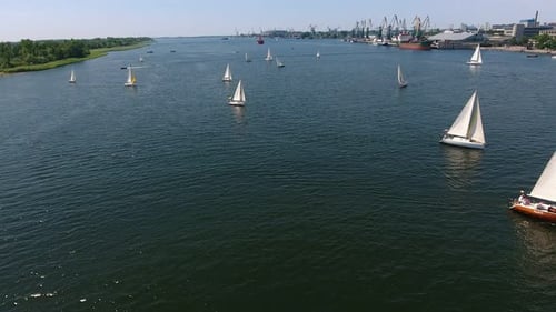 Luftaufnahme zahlreicher Yachten, die an einem sonnigen Tag im Fluss Dnipro segeln