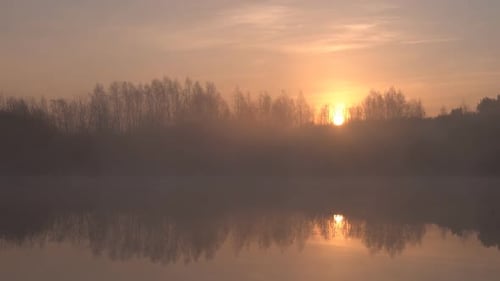 Foggy Lake With Trees At Sunrise