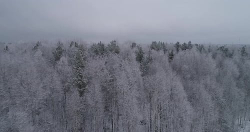 Winterlandschaft mit Wald
