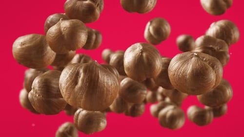 Hazelnuts Floating on a Red Background