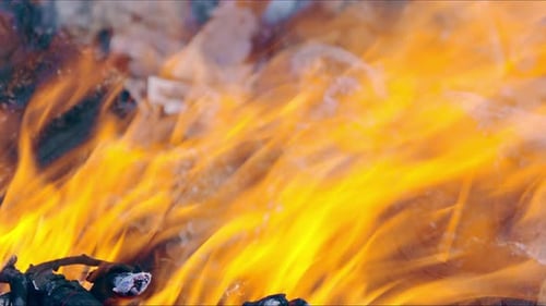 Firewood Burning Closeup Per Day. Bonfire Coal Ignites Sparks. Magic Quality Fire in Nature.