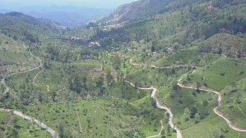 Tea Plantations and Empty Rural Roads in Picturesque Valley