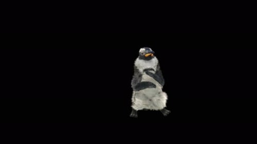 Cute 3D Penguin Character Walking and Dancing Animation