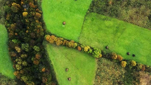 Mountain green hills and meadow, top view
