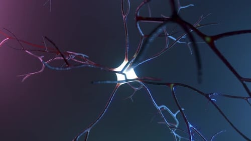 Neuron Cell Electrical Impulses and Brain Activity