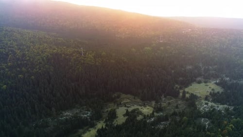Forest landscape at sunset.