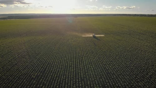 Aerial View of Farming Tractor Spraying on Field with Sprayer, Herbicides and Pesticides at Sunset