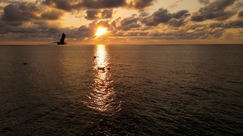 Sunset And Amateur Fishermen