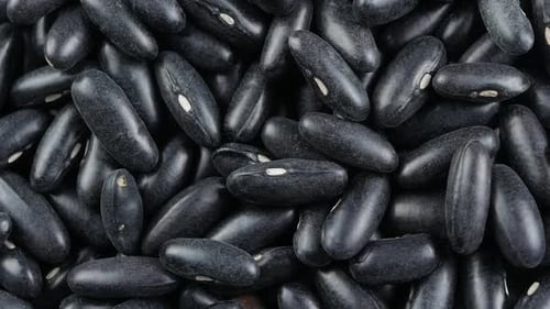 Pile of Raw Black Beans Close Up Shot