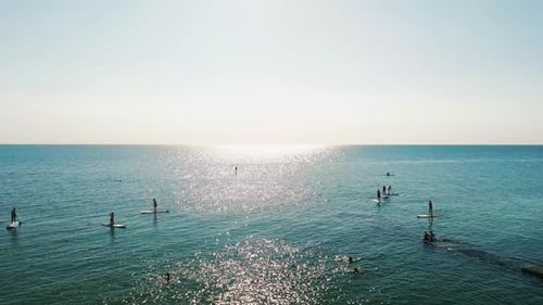 Tourists Floating on SUP Board in Blue Sea
