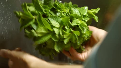 Male Hands Wash Mint.