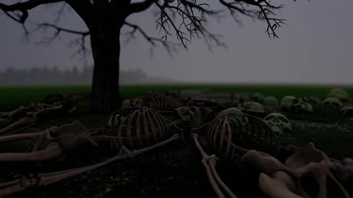 Rising Skeleton in Misty Field Horror Animation