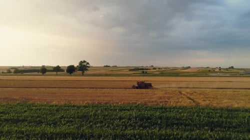 Drone view of combine harvester during work in the field
