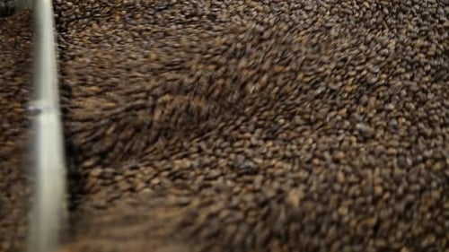 Roasted Coffee Beans Stirring in Roasting Machine