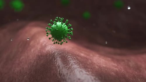 Épidémie de coronavirus et coronavirus : le contexte de la grippe en tant que cas dangereux de souche