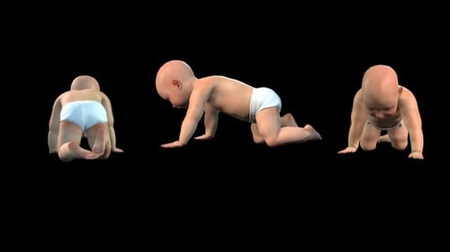 Baby-Krabbelpaket