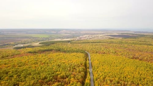 Autumn Nature Road