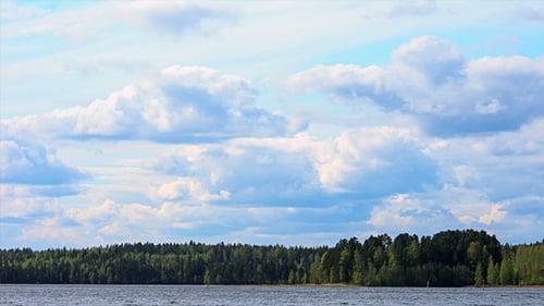 Fluffy Clouds over the Forest Lake