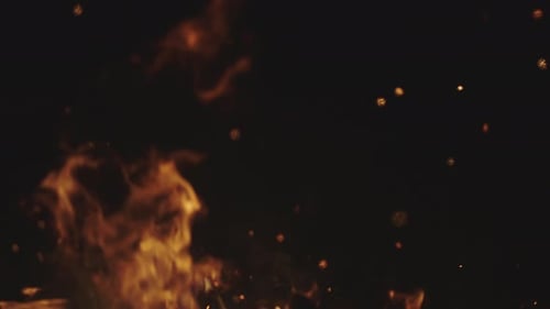 Burning Campfire
