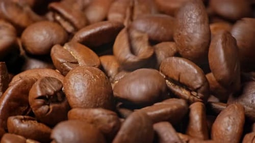 Macro Footage of Roasted Coffee Beans