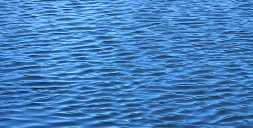 Gentle Waves Rippling Across Ocean Surface